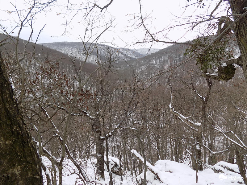 Sötéthorog-völgy, Bakony