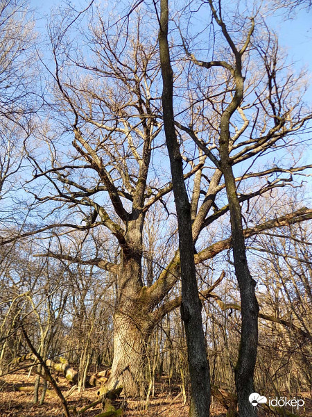 Zavaró párhuzamosok.