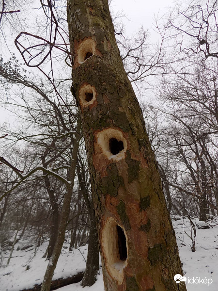 Hegyi Juhar Szálló