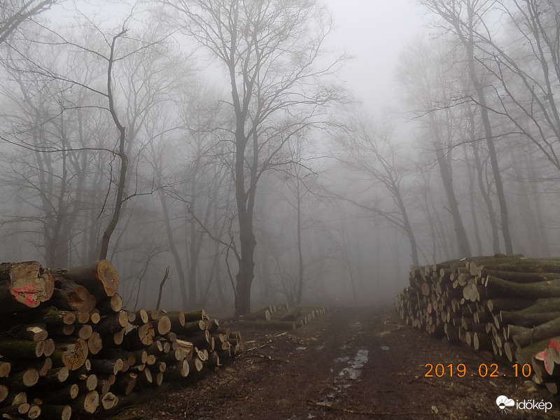 Köd előttem, köd utánam.