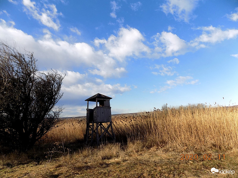 Les, nádas, pacsmagok.
