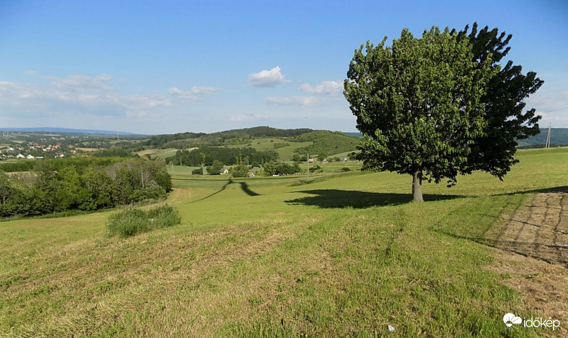 Szápár határa. Bakony.
