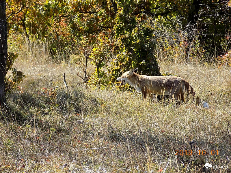 Lehengerlő mosoly. :)