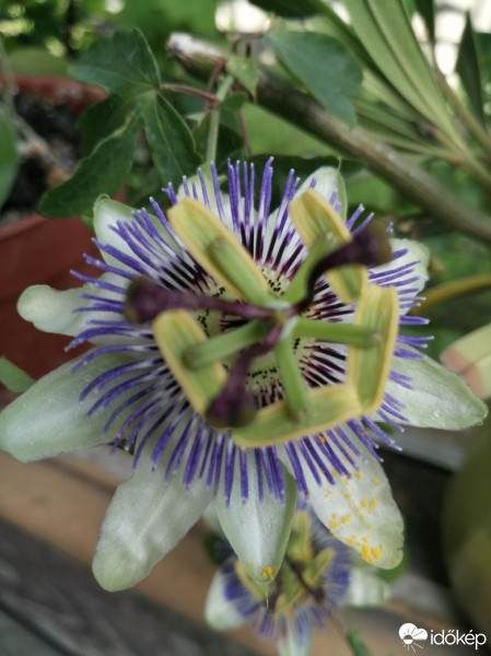 Budapest XV.ker - Rákospalota