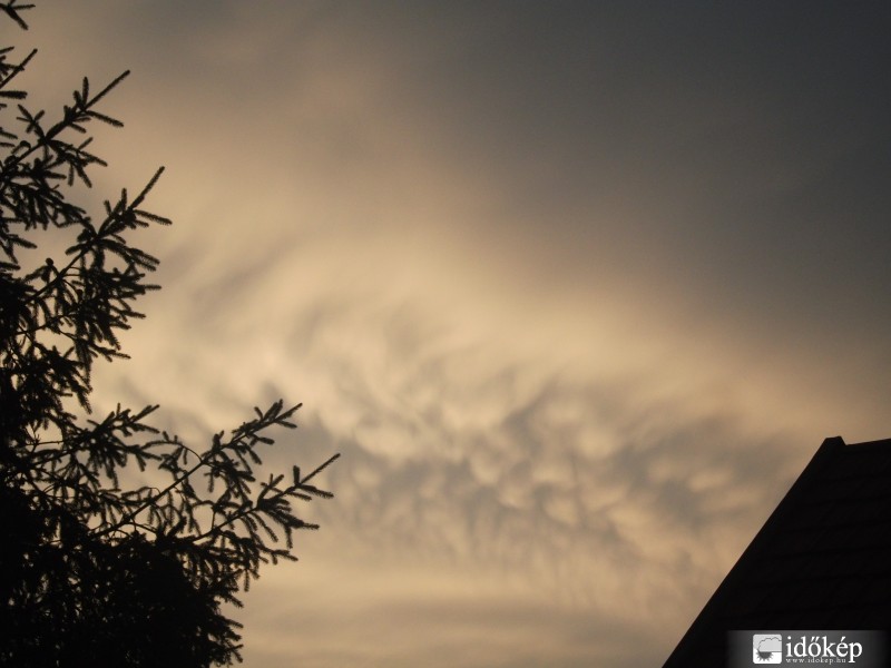 Narancssárga mammák