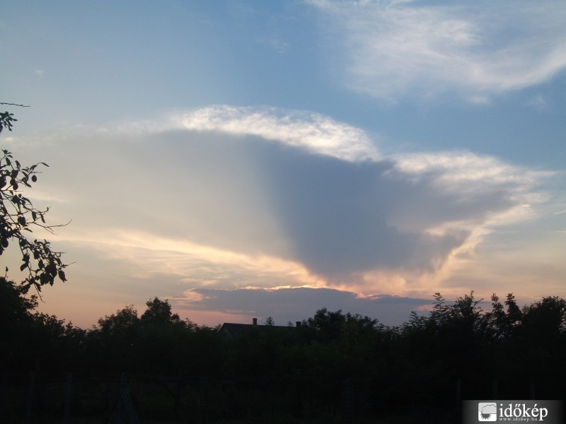 Naplemente üllő társaságában.