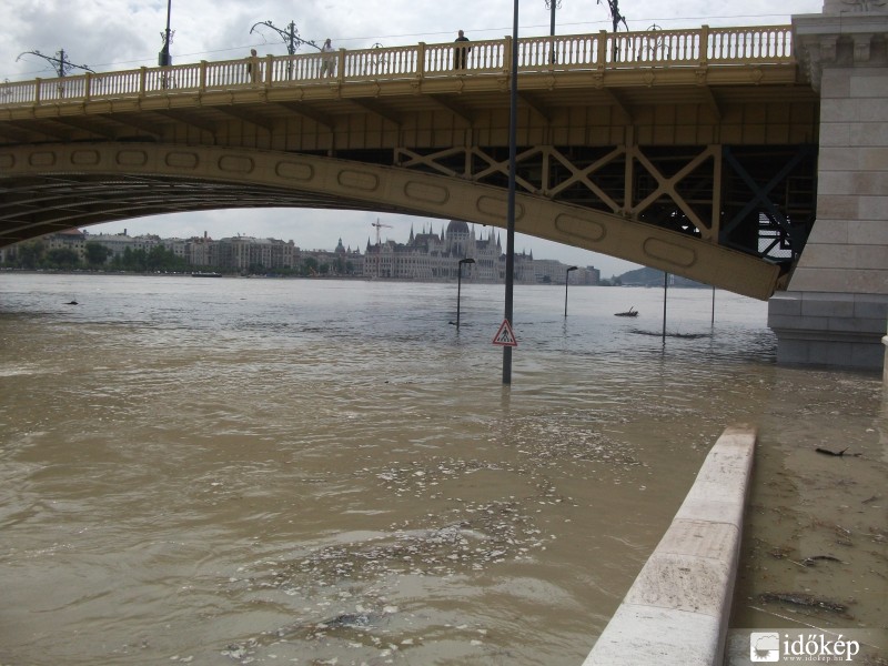 A Margit híd lábánál a víz az úr. 