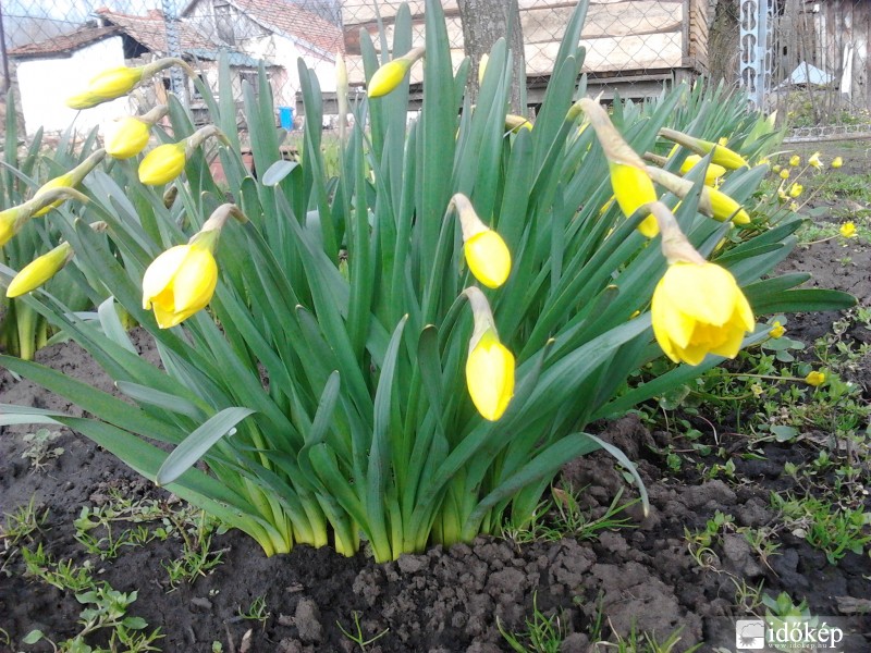 Itt a tavasz