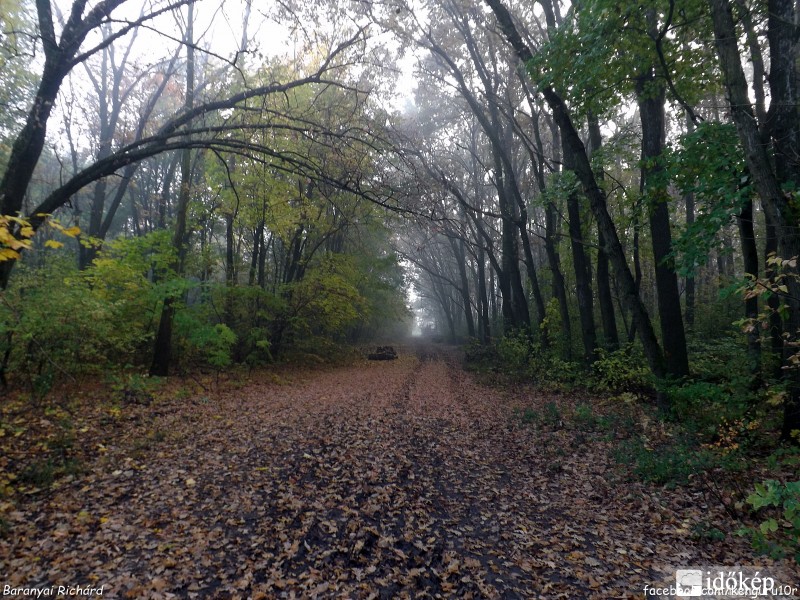 Séta az őszben