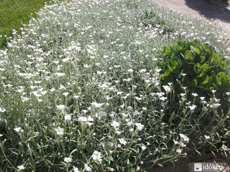 Befutotta a sziklakertet.