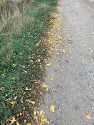 Pusztaszabolcs