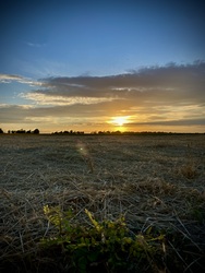 Naplemente….