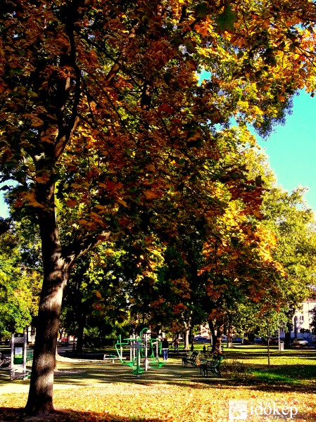 Gyermek tér