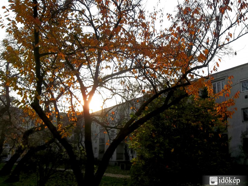 Novemberi napsütés