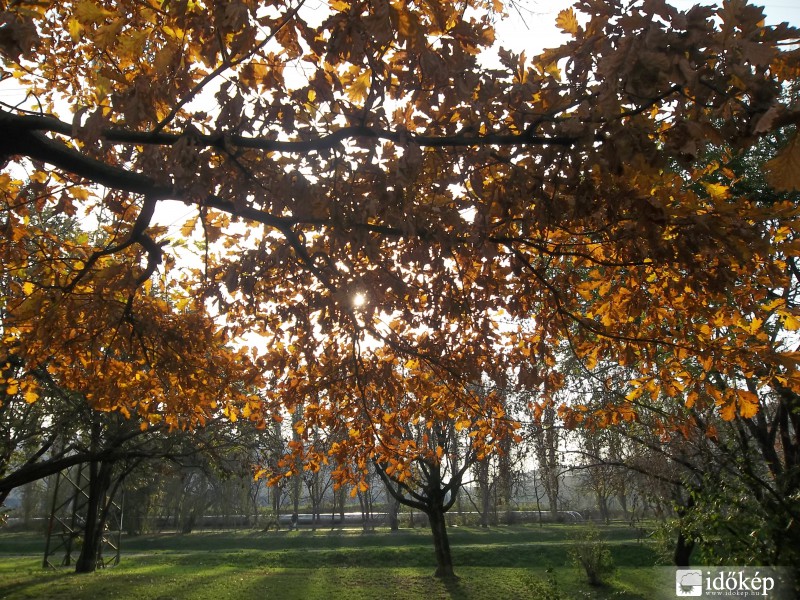 Novemberi napsütés
