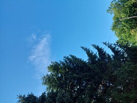 Farkasgyepű