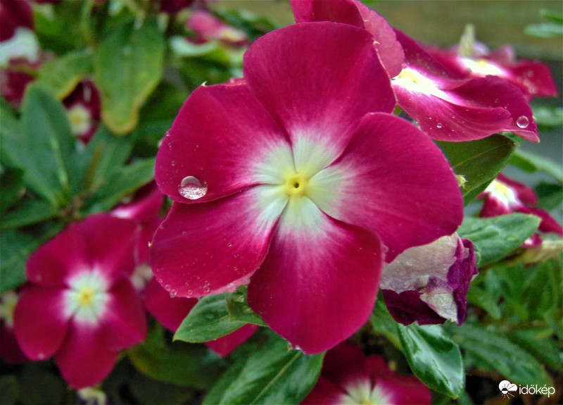 Ma reggel esővel kezdődött