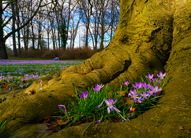 "Gyöngéden ölelj át"