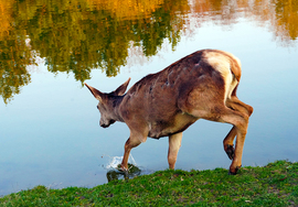 Ez nem is olyan hideg.