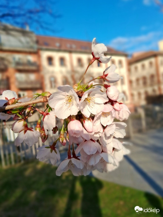 Tavasz Budapesten 2.