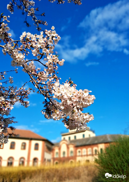 Tavasz Budapesten