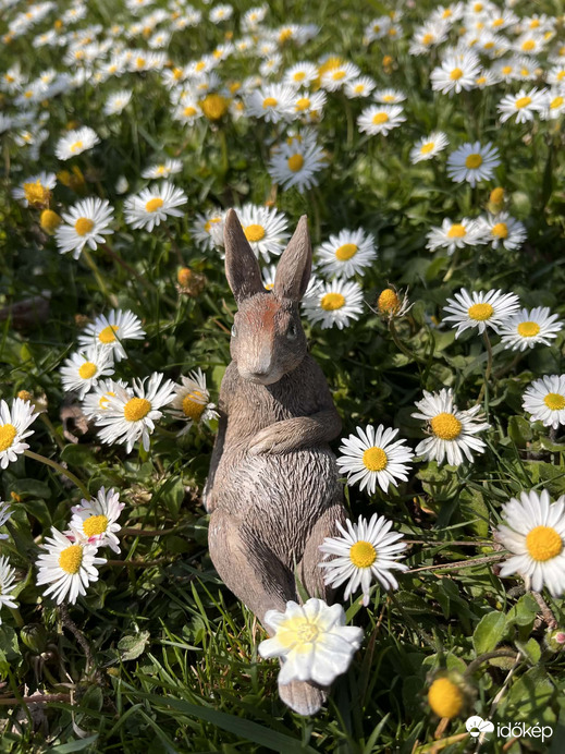 Kellemes húsvéti ünnepeket! 