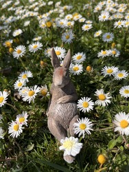 Kellemes húsvéti ünnepeket! 