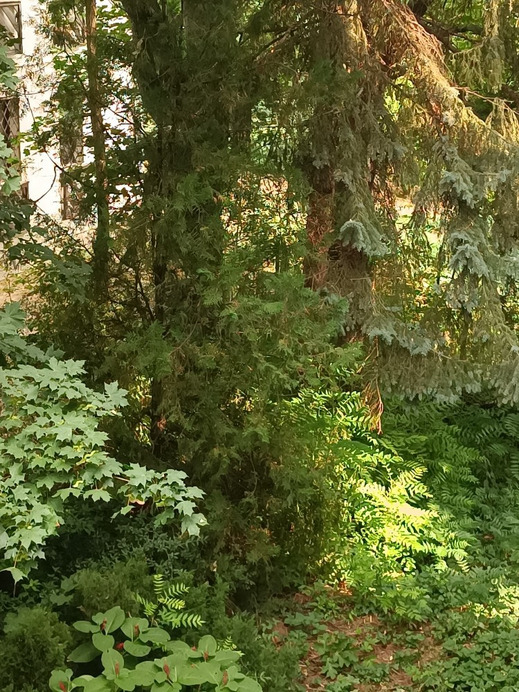 Budapest II.ker - Kurucles