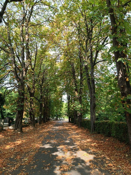 Budapest III.ker - Óbuda