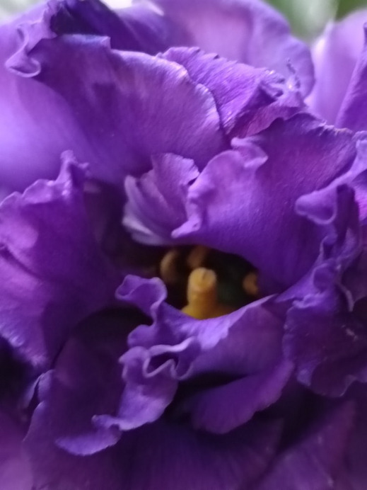 Budapest II.ker - Kurucles