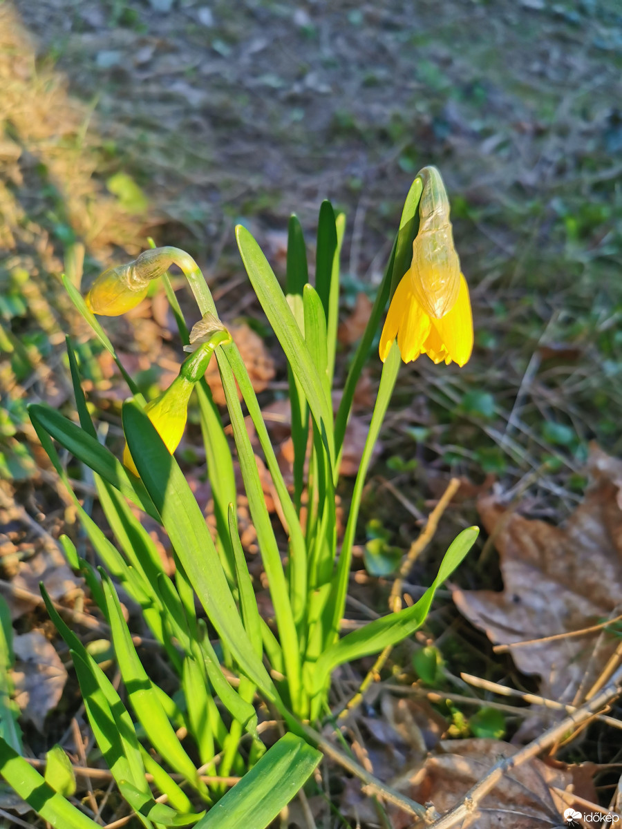 Budapest XII.ker - Zugliget