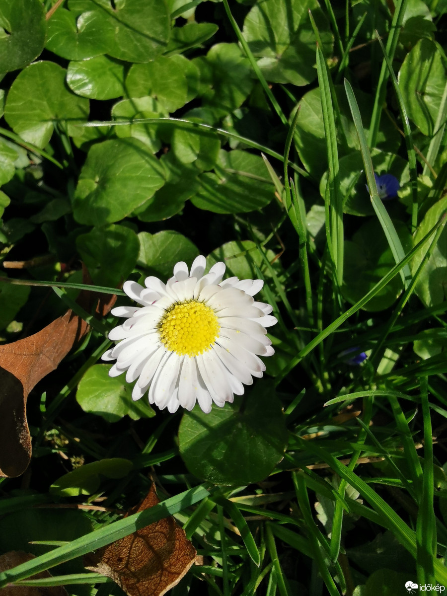 Budapest XII.ker - Zugliget