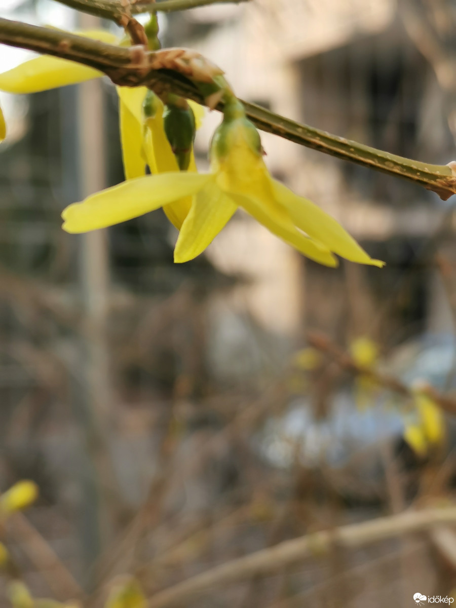 Budapest XII.ker - Zugliget