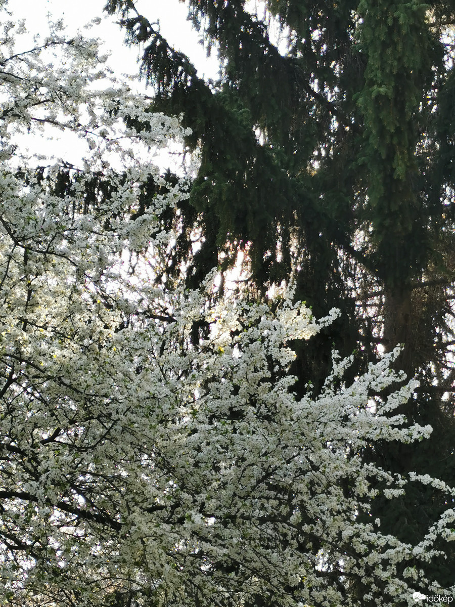 Budapest XII.ker - Zugliget