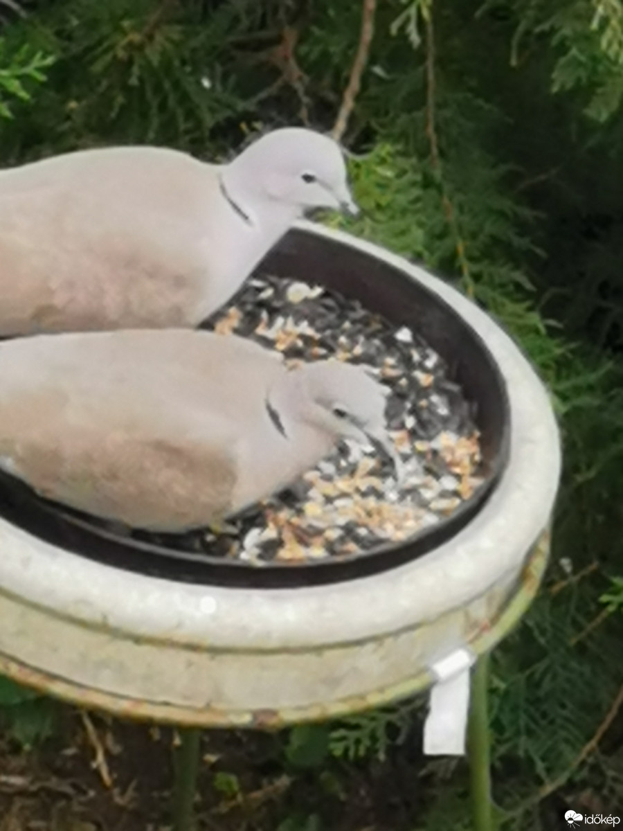 Budapest XII.ker - Zugliget