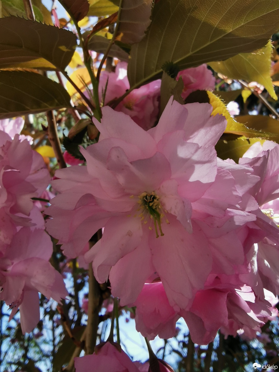 Budapest XII.ker - Zugliget