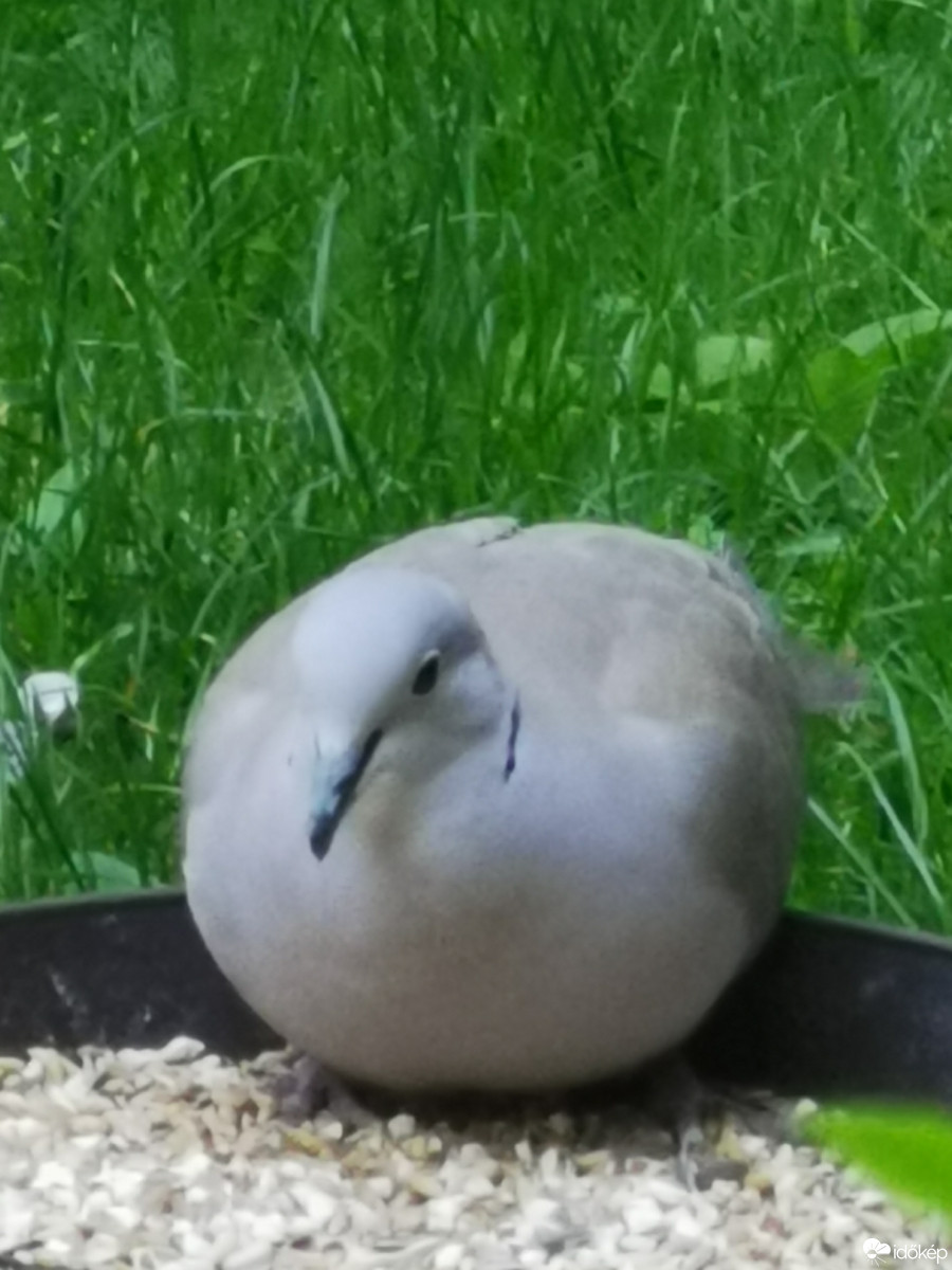 Budapest XII.ker - Zugliget