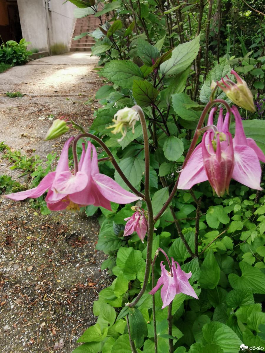 Budapest XII.ker - Zugliget