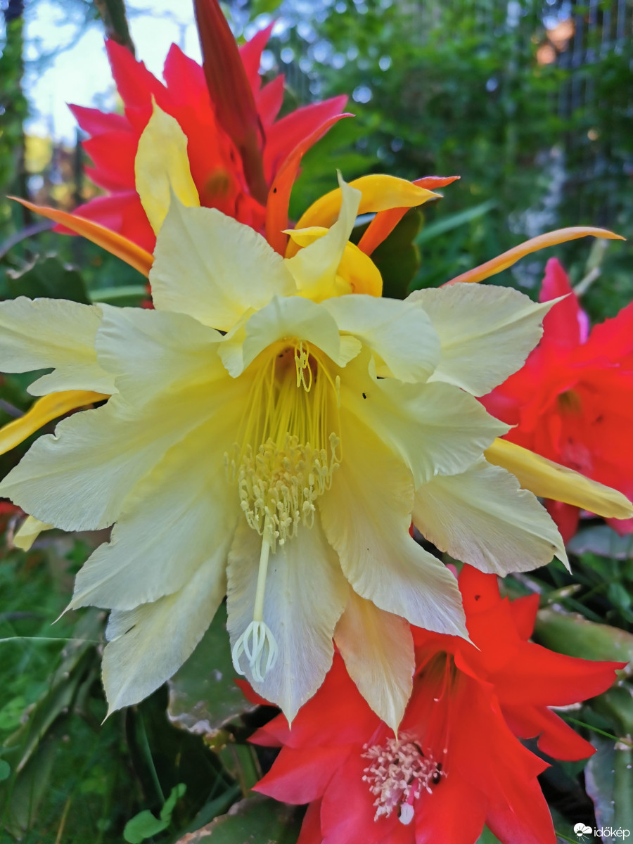 Budapest XII.ker - Zugliget