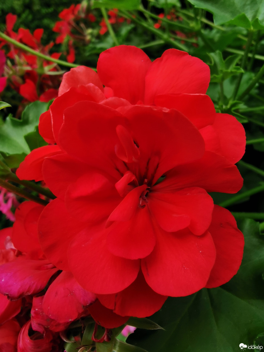 Budapest XII.ker - Zugliget