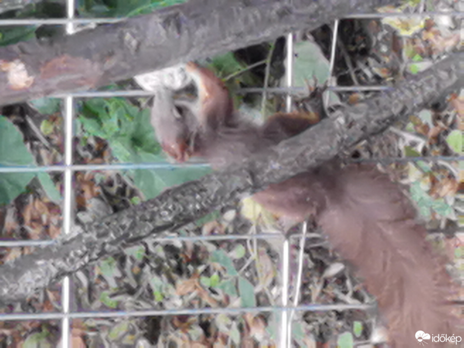 Budapest XII.ker - Zugliget