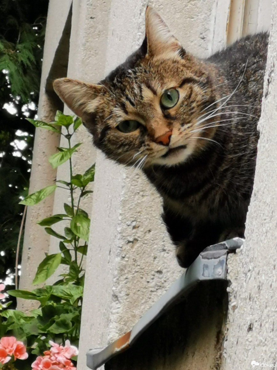 Budapest XII.ker - Zugliget