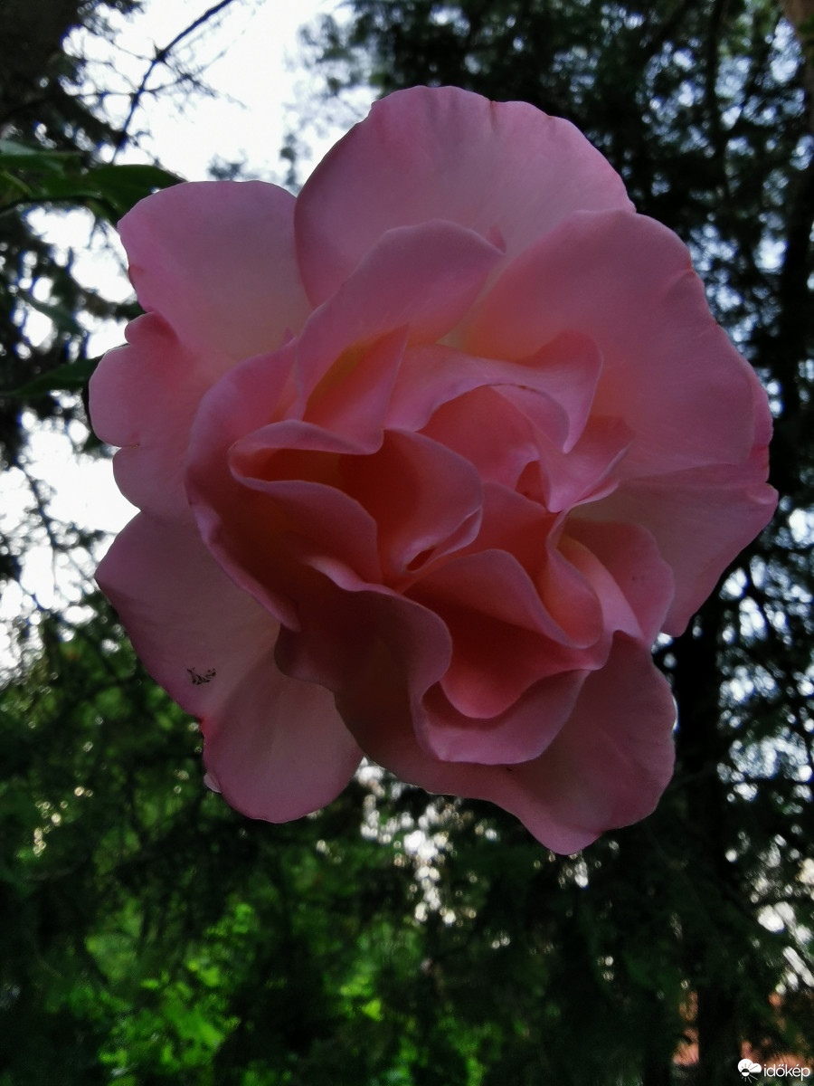 Budapest XII.ker - Zugliget