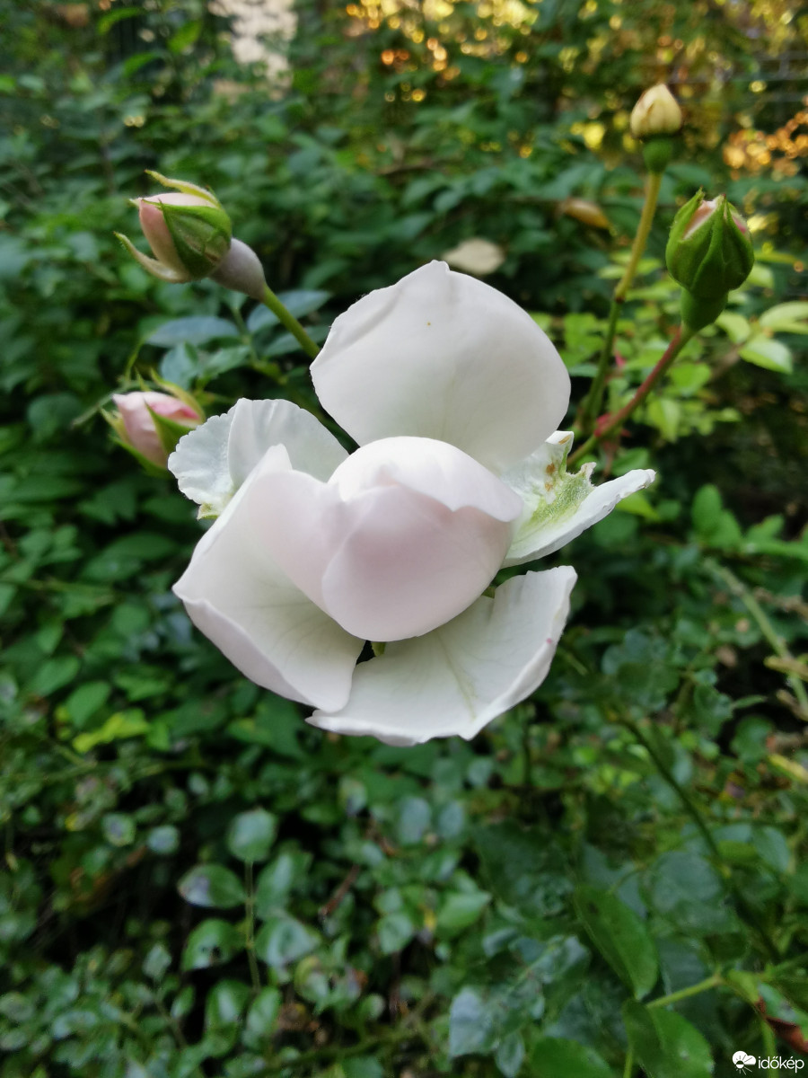 Budapest XII.ker - Zugliget