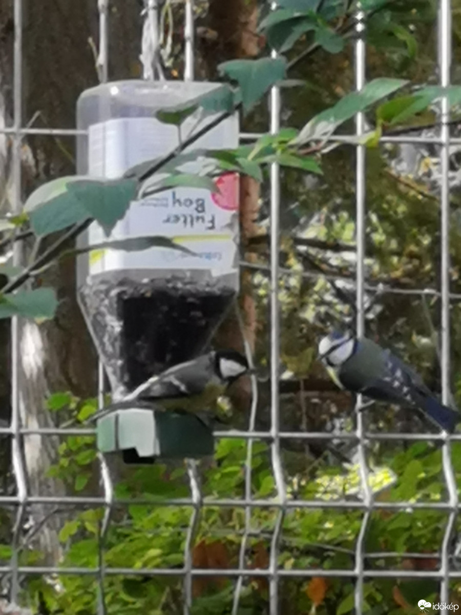 Budapest XII.ker - Zugliget