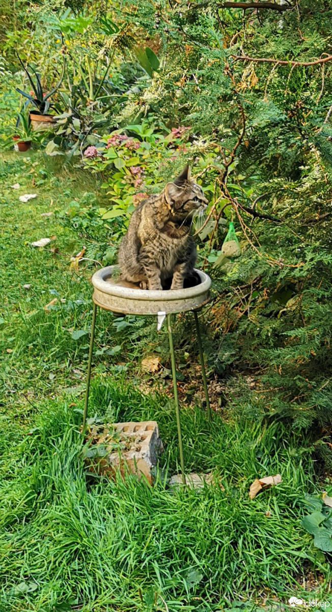 Budapest XII.ker - Zugliget