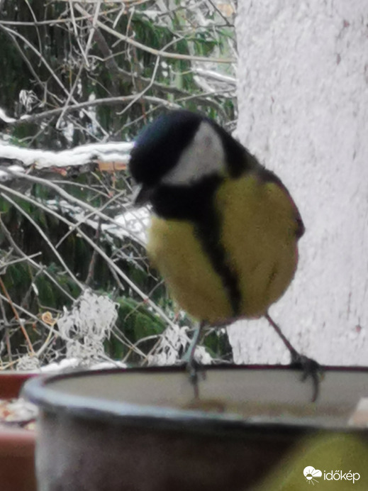 Budapest XII.ker - Zugliget