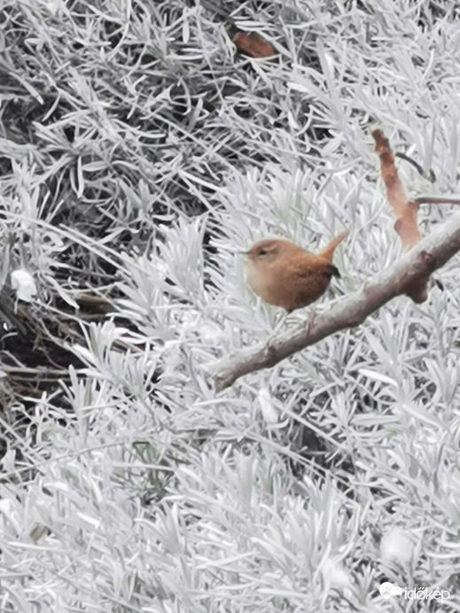 Budapest XII.ker - Zugliget