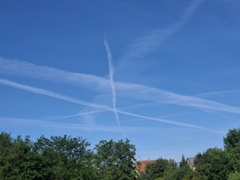 Csillag 