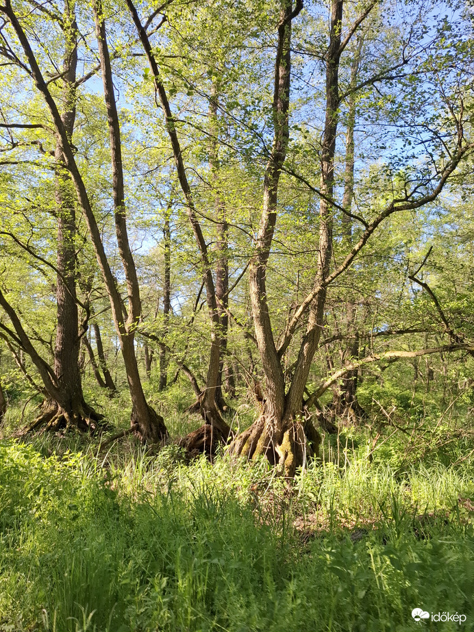 Fertő Hanság Nemzeti Park